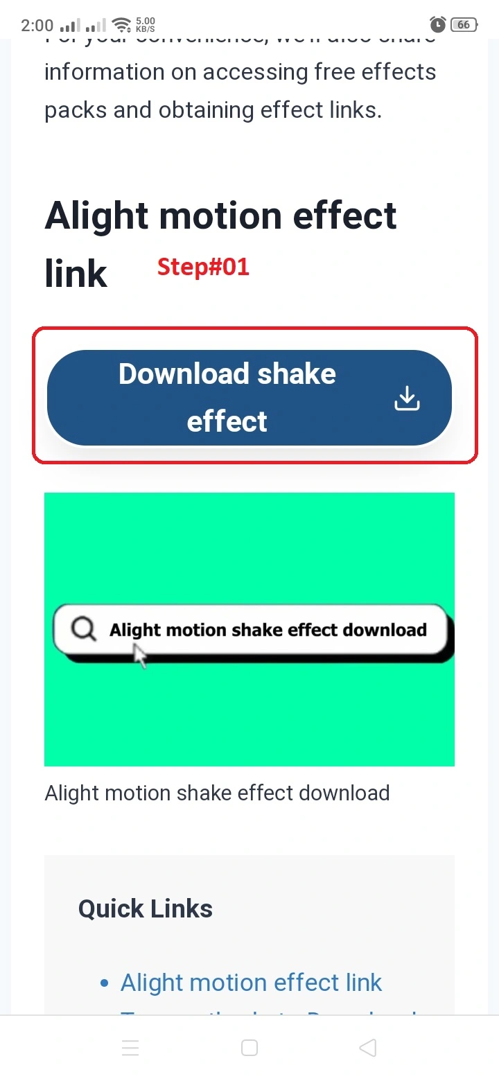 Click on the Download shake effect button